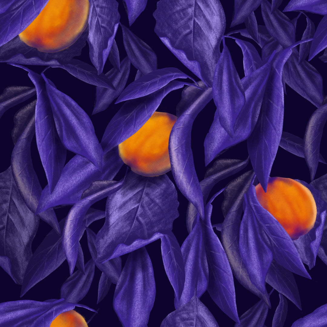 Even Bloom