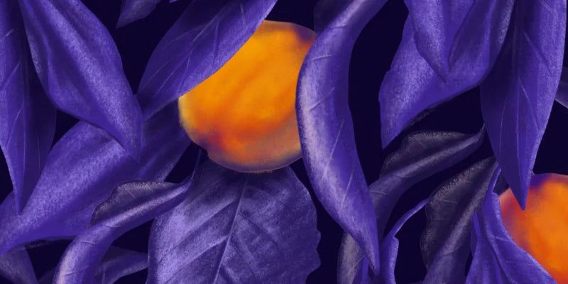 Featured artist Even Bloom