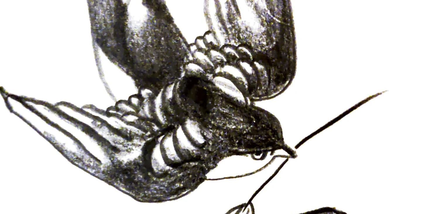 Featured artist the7thgoblin