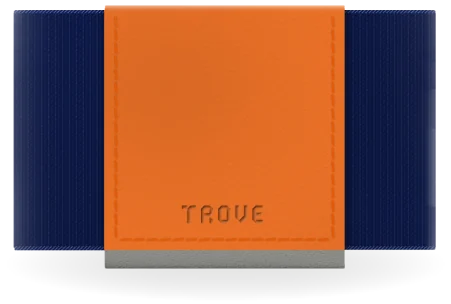 Image for Trove BYO